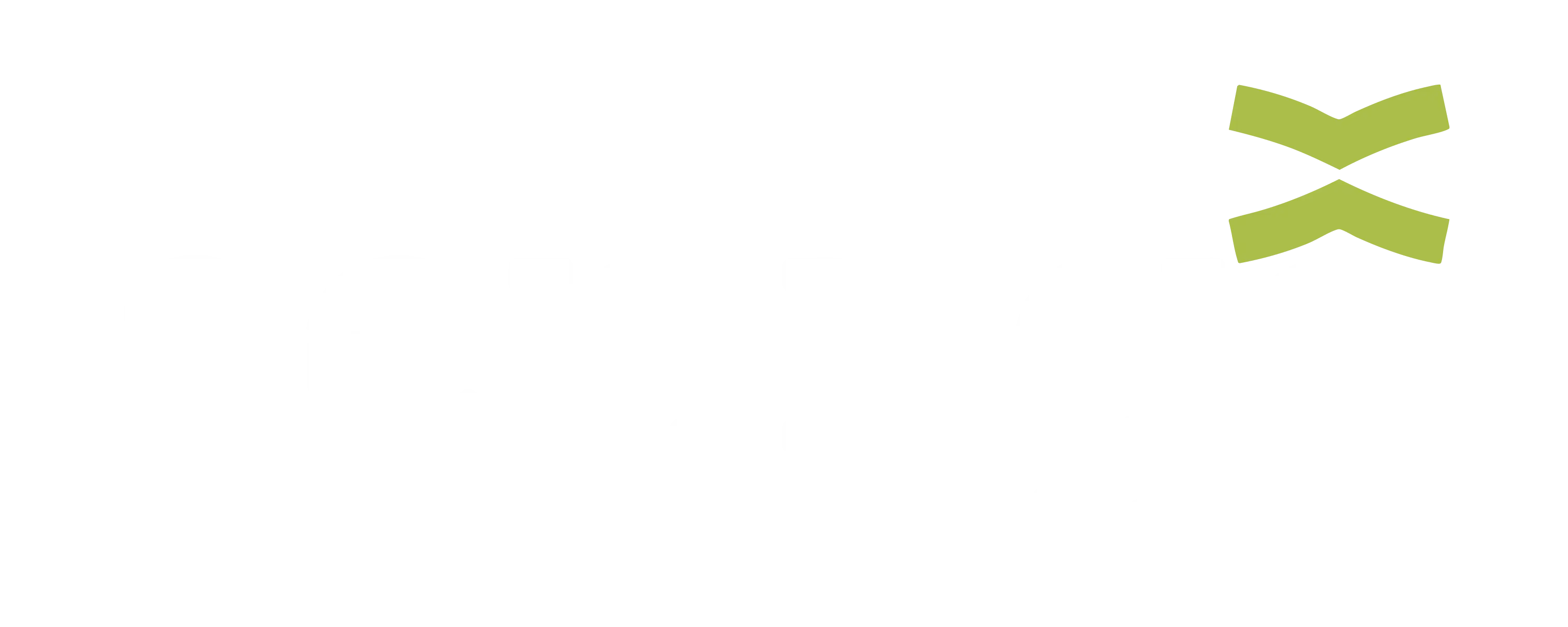 Logo Seringô